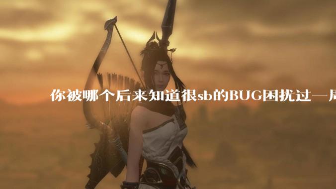 你被哪个后来知道很sb的BUG困扰过一周以上吗?