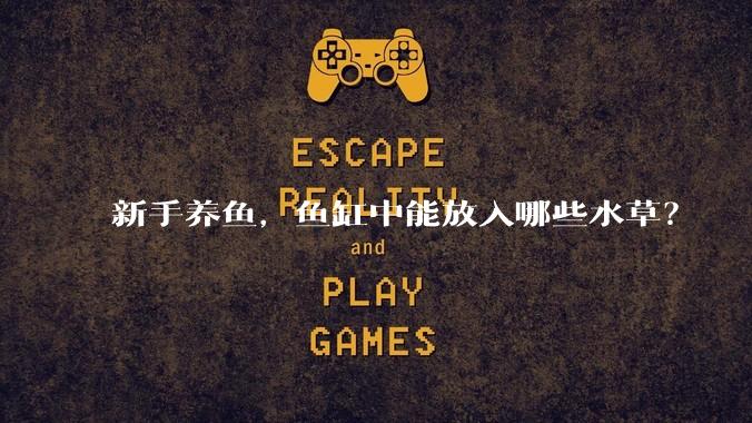 新手养鱼,鱼缸中能放入哪些水草?
