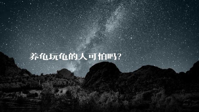 养龟玩龟的人可怕吗?