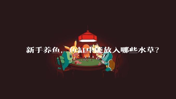 新手养鱼,鱼缸中能放入哪些水草?