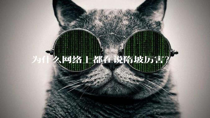 为什么网络上都在说隋坡厉害?
