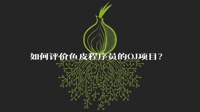 如何评价鱼皮程序员的OJ项目?