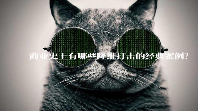 商业史上有哪些降维打击的经典案例?