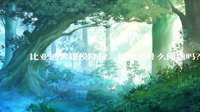 比亚迪大规模降价,是出了什么问题吗?