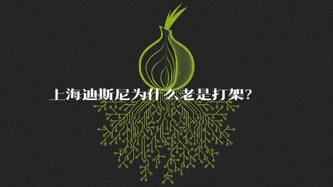 上海迪斯尼为什么老是打架?