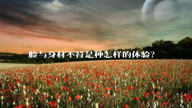 脸与身材不符是种怎样的体验?