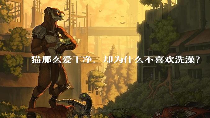 猫那么爱干净,却为什么不喜欢洗澡?