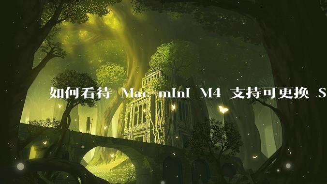 如何看待 Mac mini M4 支持可更换 SSD?