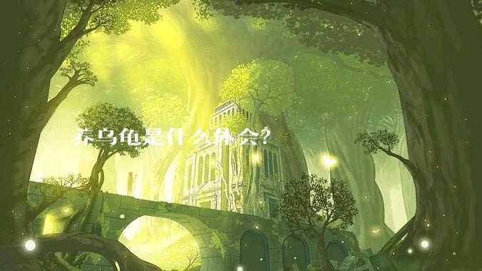 养乌龟是什么体会?