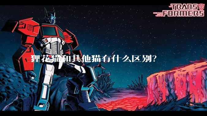 狸花猫和其他猫有什么区别?