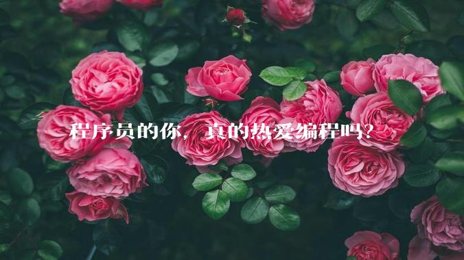 程序员的你,真的热爱编程吗?