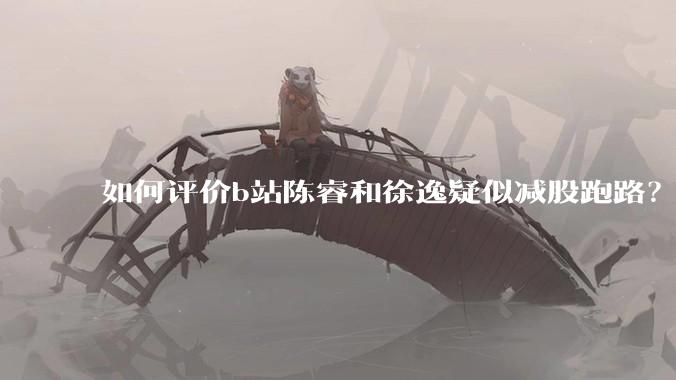 如何评价b站陈睿和徐逸疑似减股跑路?