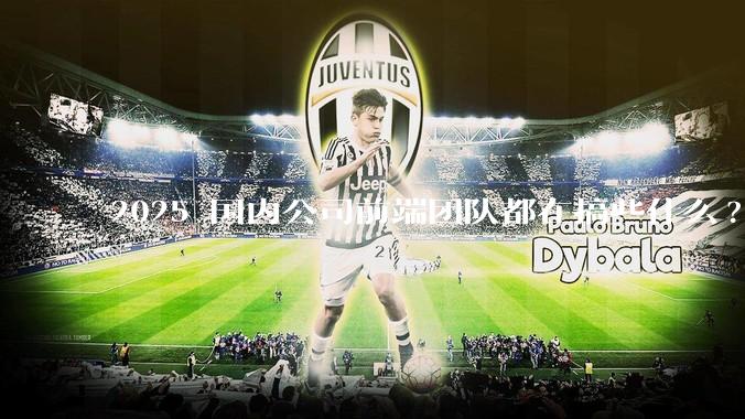 2025 国内公司前端团队都在搞些什么?