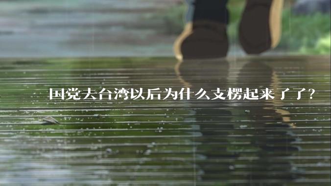 国党去台湾以后为什么支楞起来了了?