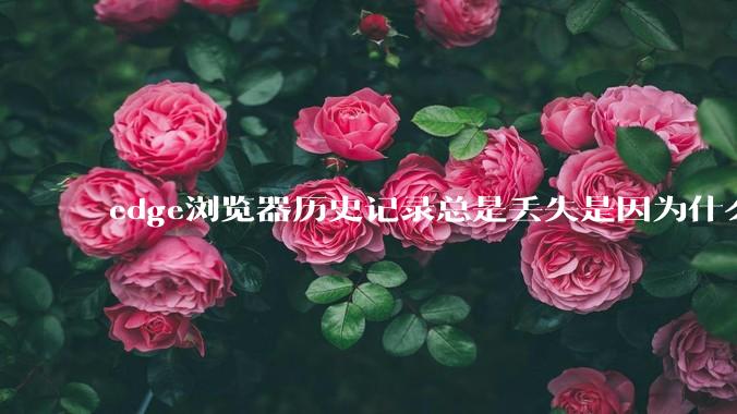 edge浏览器历史记录总是丢失是因为什么原因?有没有什么解决办法?