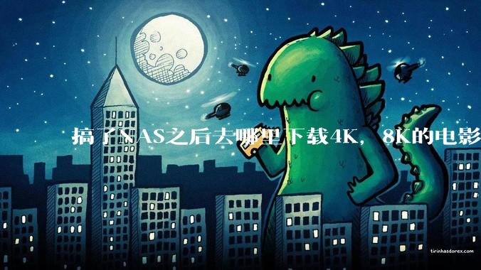 搞了NAS之后去哪里下载4K,8K的电影?