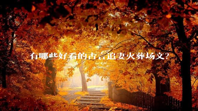 有哪些好看的古言追妻火葬场文?