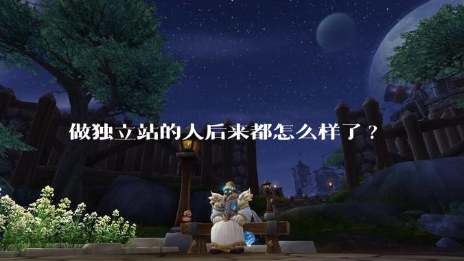 做独立站的人后来都怎么样了?