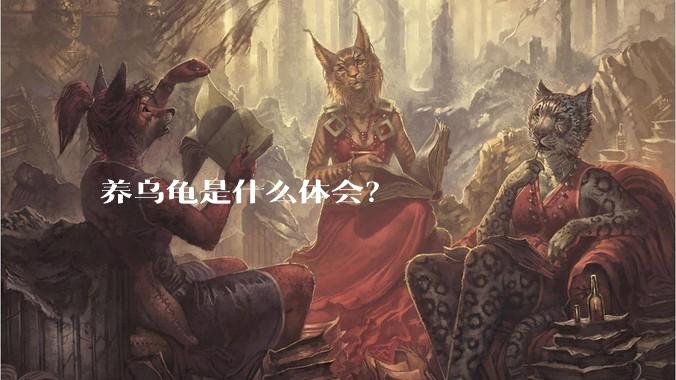 养乌龟是什么体会?