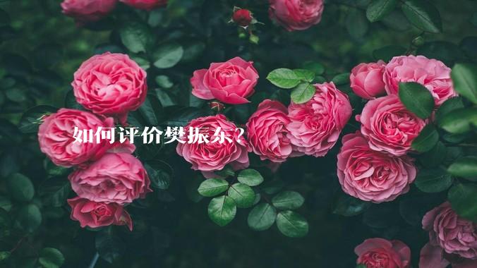 如何评价樊振东?