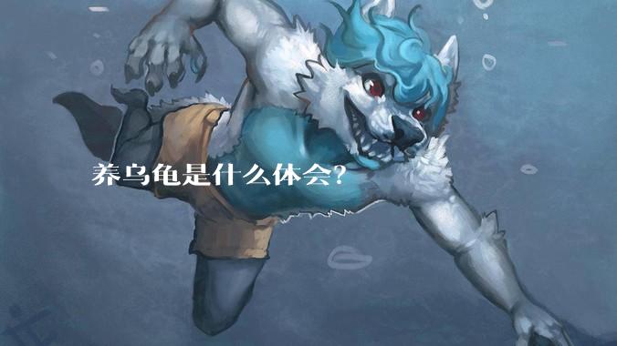 养乌龟是什么体会?