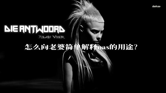 怎么向老婆简单解释nas的用途?