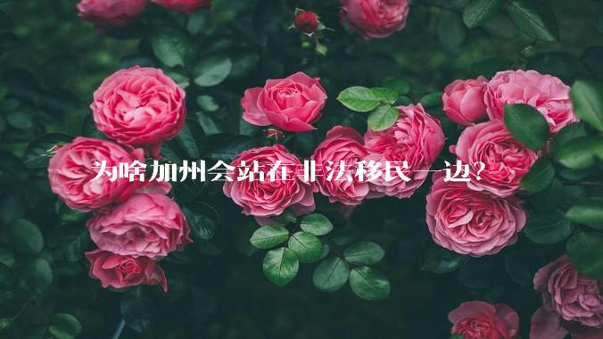 为啥加州会站在非法移民一边?