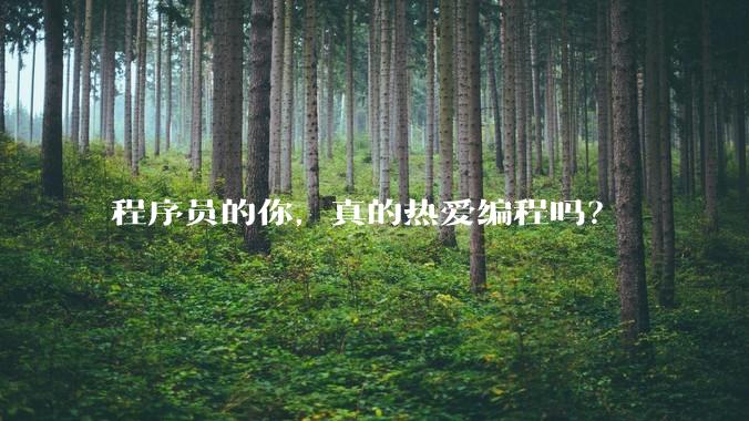 程序员的你,真的热爱编程吗?