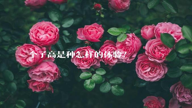 个子高是种怎样的体验?