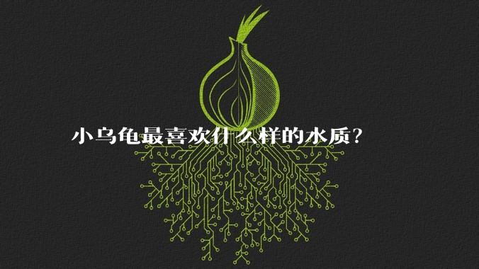 小乌龟最喜欢什么样的水质?