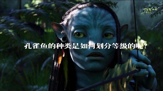 孔雀鱼的种类是如何划分等级的呢?