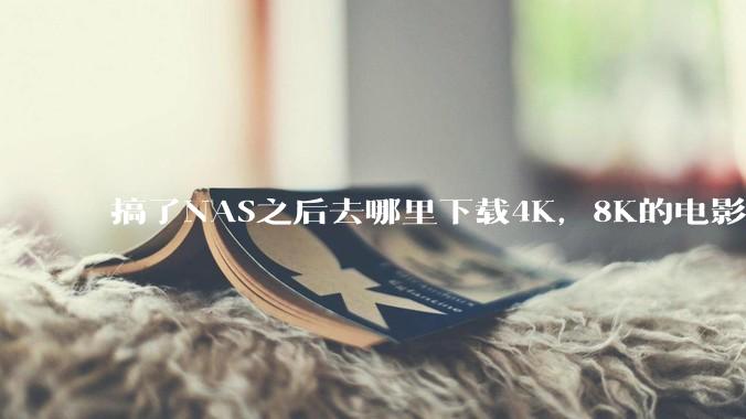 搞了NAS之后去哪里下载4K,8K的电影?
