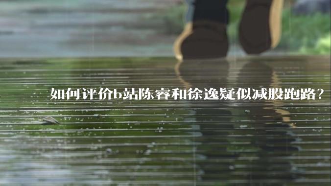 如何评价b站陈睿和徐逸疑似减股跑路?