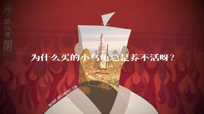 为什么买的小乌龟总是养不活呀?