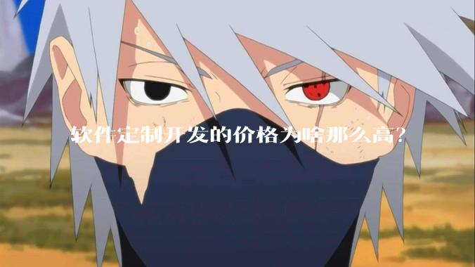软件定制开发的价格为啥那么高?