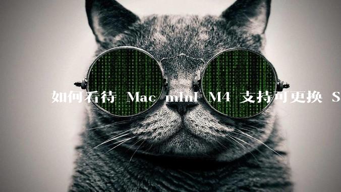 如何看待 Mac mini M4 支持可更换 SSD?