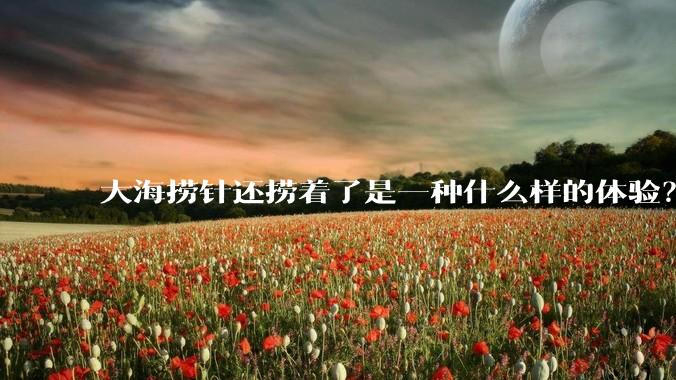 大海捞针还捞着了是一种什么样的体验?