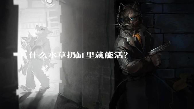 什么水草扔缸里就能活?