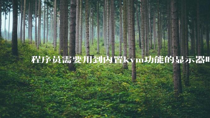 程序员需要用到内置kvm功能的显示器吗？或者是外置的kvm切换器吗？