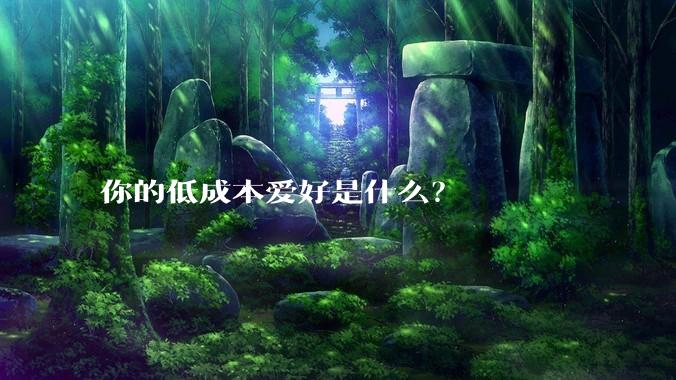 你的低成本爱好是什么?