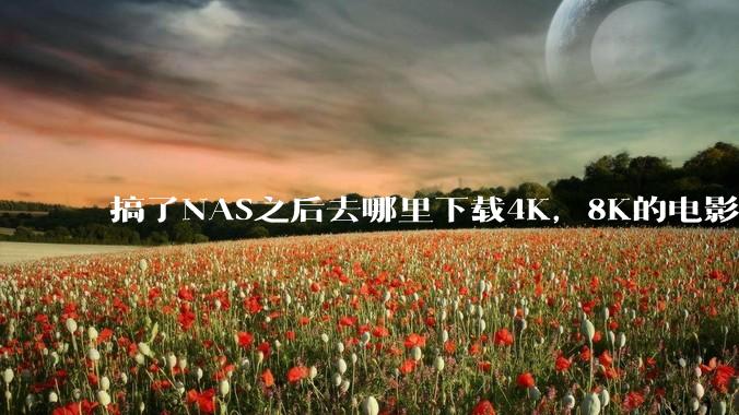 搞了NAS之后去哪里下载4K,8K的电影?
