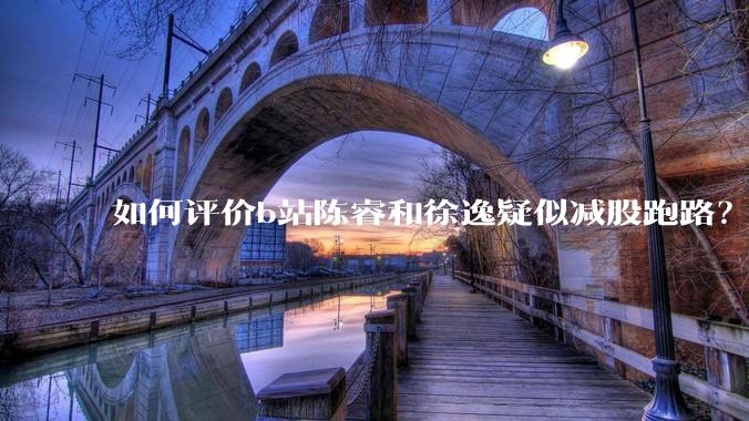 如何评价b站陈睿和徐逸疑似减股跑路?