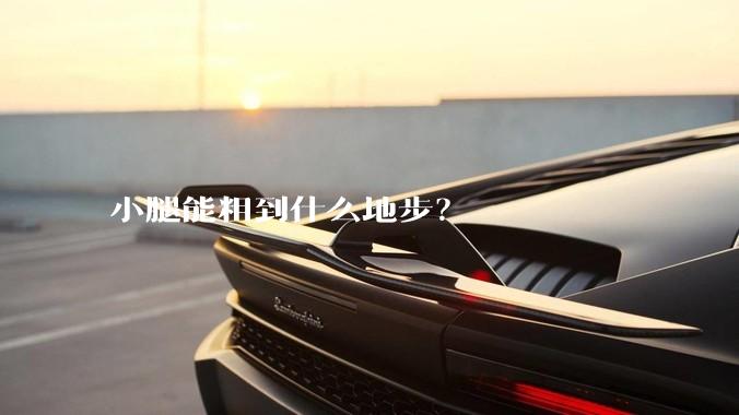小腿能粗到什么地步?