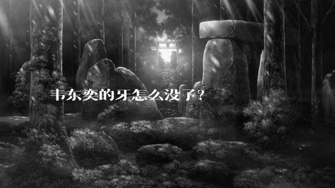 韦东奕的牙怎么没了?
