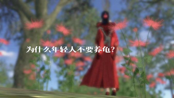 为什么年轻人不要养龟?