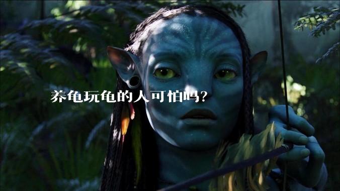 养龟玩龟的人可怕吗?