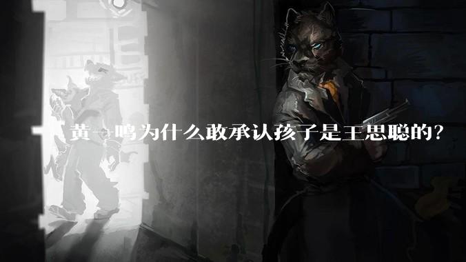 黄一鸣为什么敢承认孩子是王思聪的?