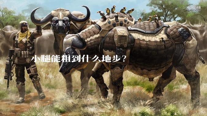 小腿能粗到什么地步?