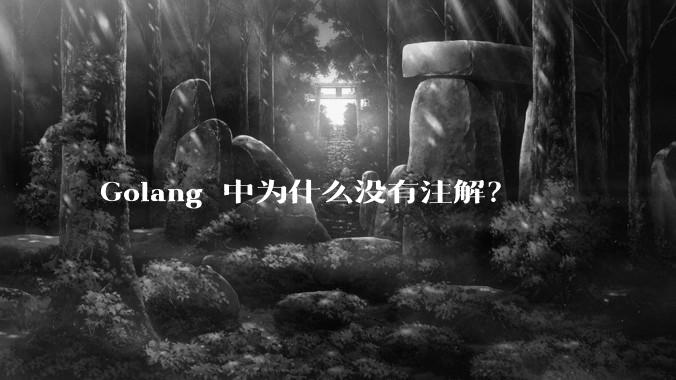 Golang 中为什么没有注解?