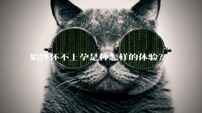 始终怀不上孕是种怎样的体验?